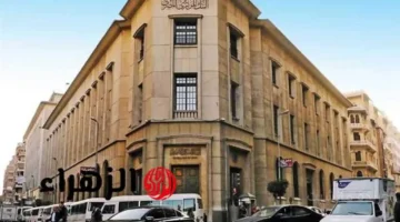 قرار جديد للمسافرين.. الجمارك تعلن الحد الأقصى للنقد المسموح به وعقوبات صارمة للمخالفين 1